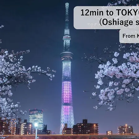 Asahistay -Koiwa, Free Parking O, Whole Family House, Japanese Garden Taste 東京都 外观 照片