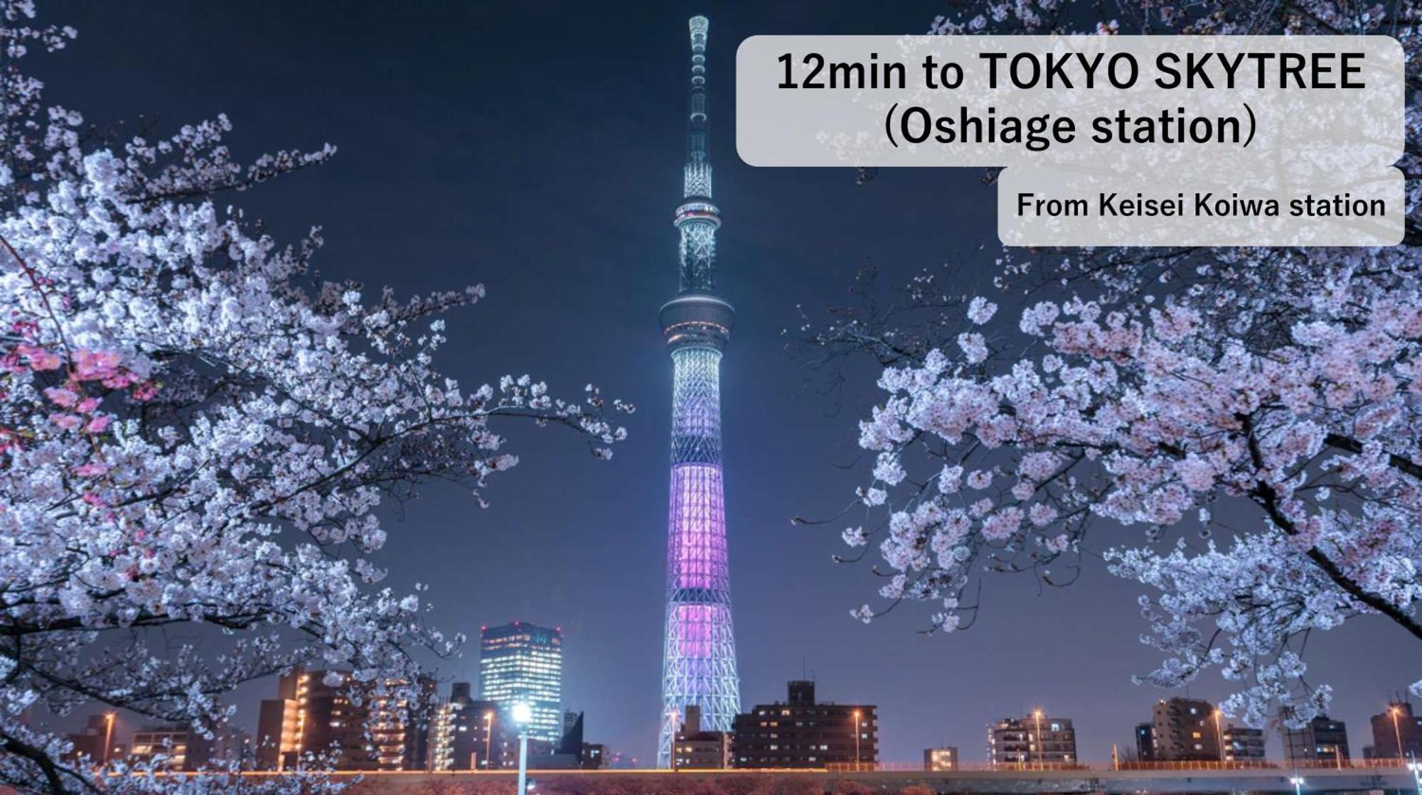 Asahistay -koiwa, Free Parking O, Whole Family House, Japanese Garden Taste